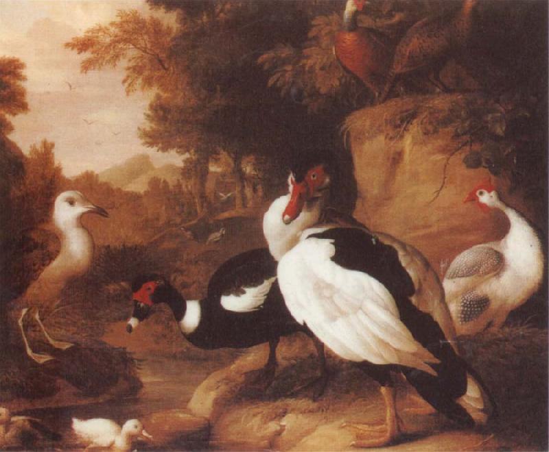 Jakob Bogdani Wild Ducks Sweden oil painting art